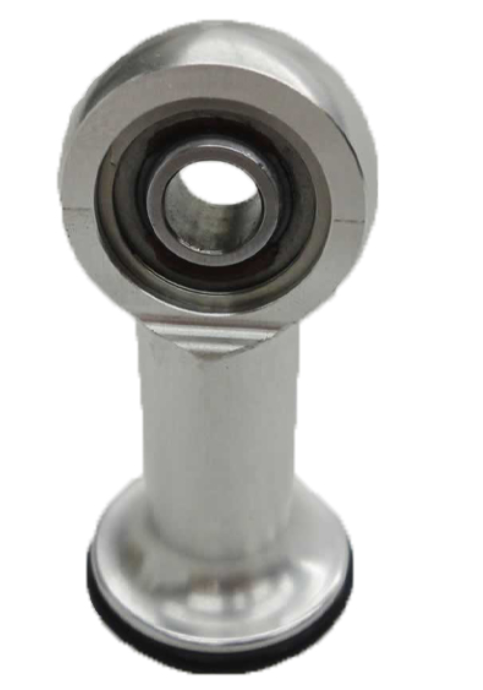 ARS Extended Eye